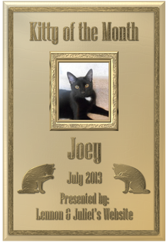 June 2013 Kitty of the Month - Milo