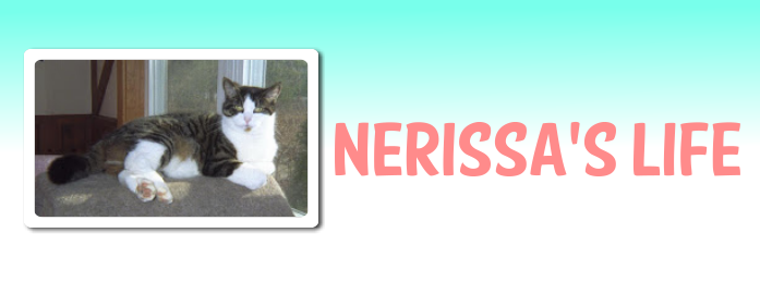 Nerissa's Life