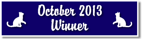 October 2013 Winner