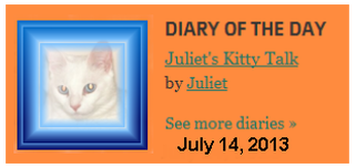 Diary of the Day